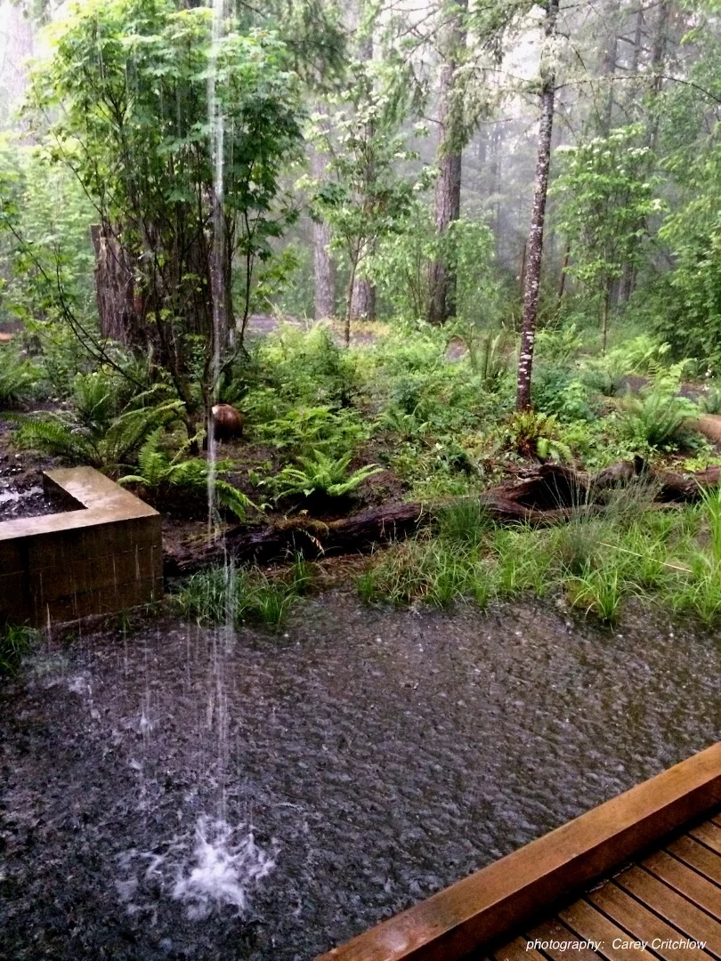 Few homes take their place as well as Newberg Residence, by Cutler Anderson Architects. Situated in Newberg, Oregon, it takes the form of a bridge over a large pond