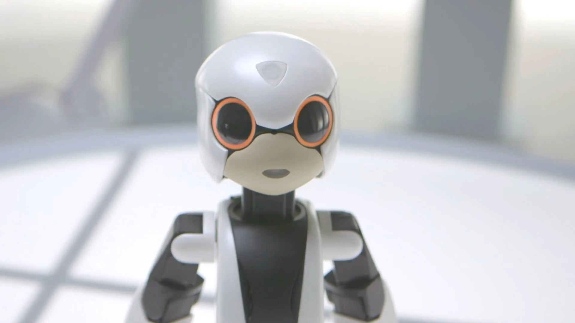 A close-up of Kibo's upper-body