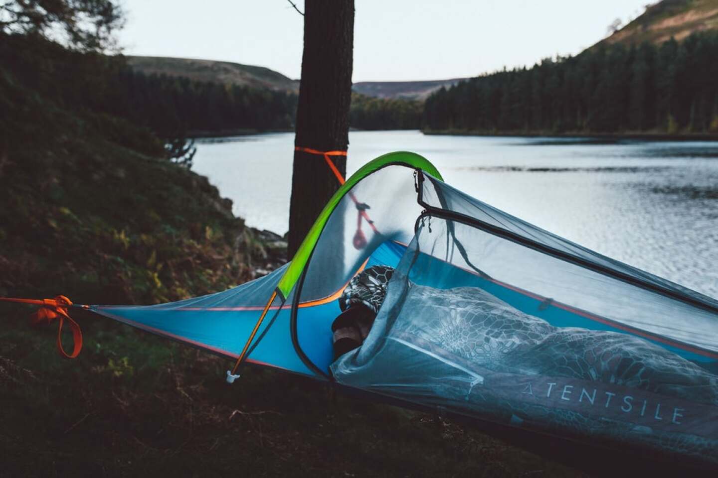 Review Sleeping among towering redwoods in a Tentsile tree tent