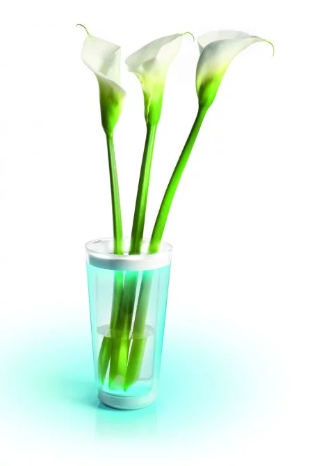 Phillips LED-illuminated vase