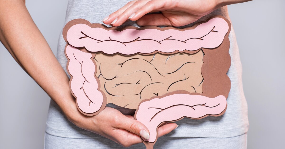 IBS breakthrough: Serotonin-making gut bugs restore bowel function