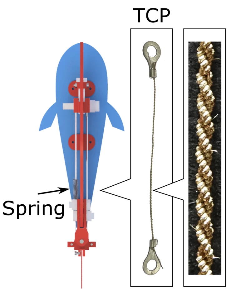 An overview of the robot's TCP-spring propulsion system