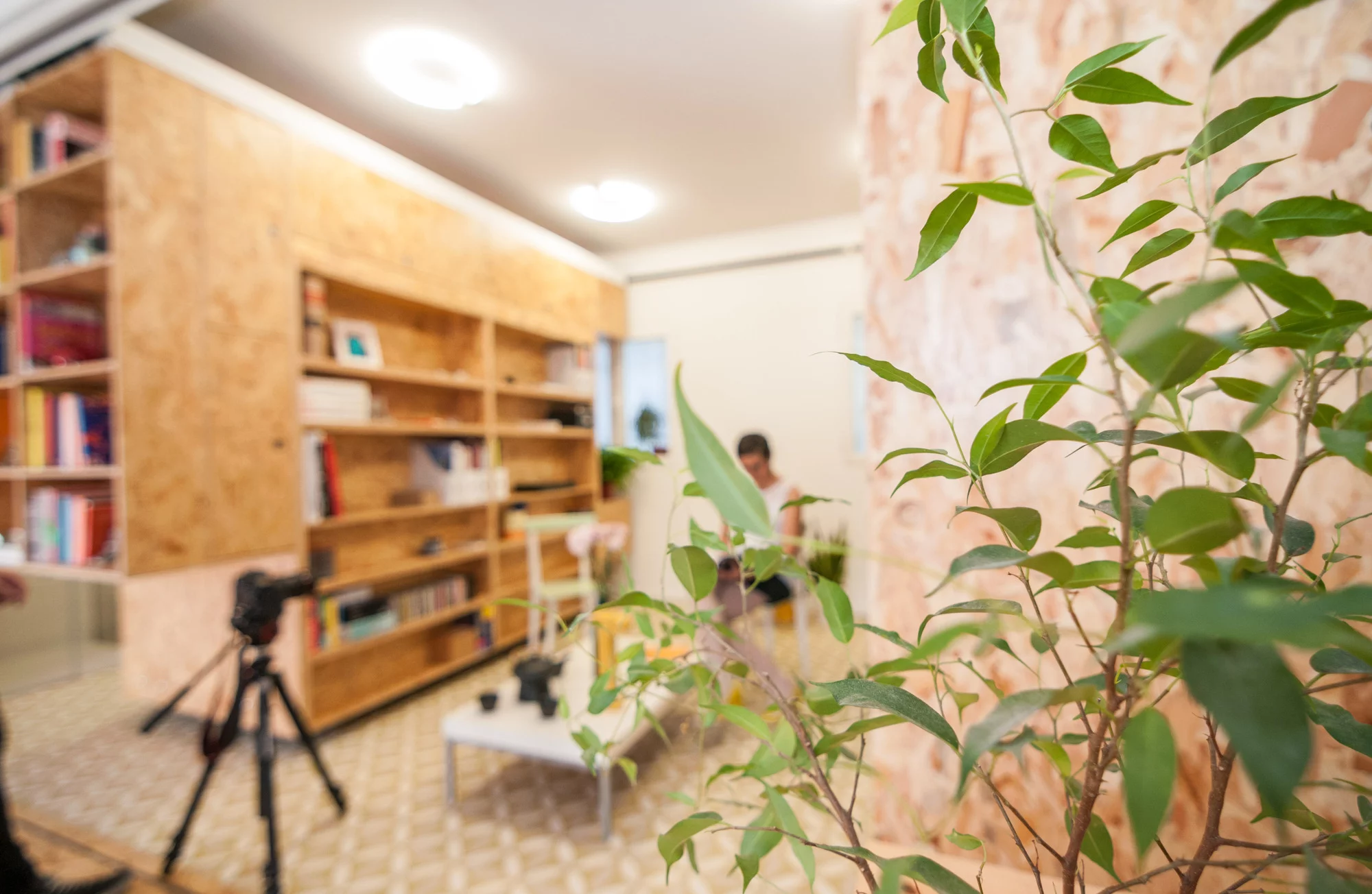 While not for everyone, and not a unique idea in itself, the All I Own House is certainly a breath of fresh air (Photo: Javier de Paz García)