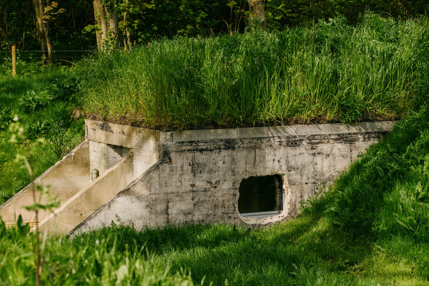 The Transmitter Bunker's exterior features greenery growing over it, insulating the structure and helping it blend in with its surroundings