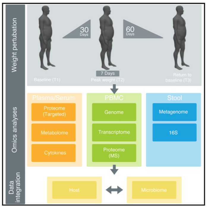 A graphical abstract of the study
