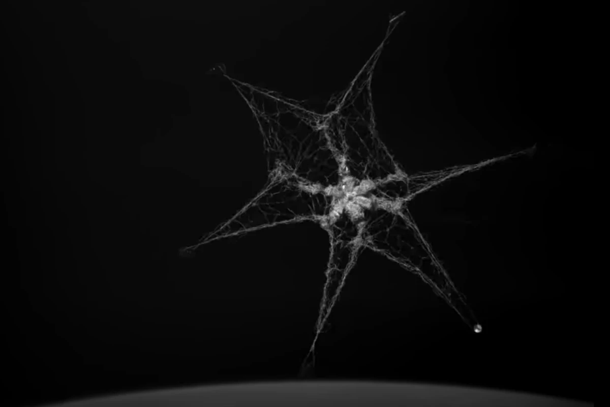 The RemoveDEBRIS net zeroes in on it's first target