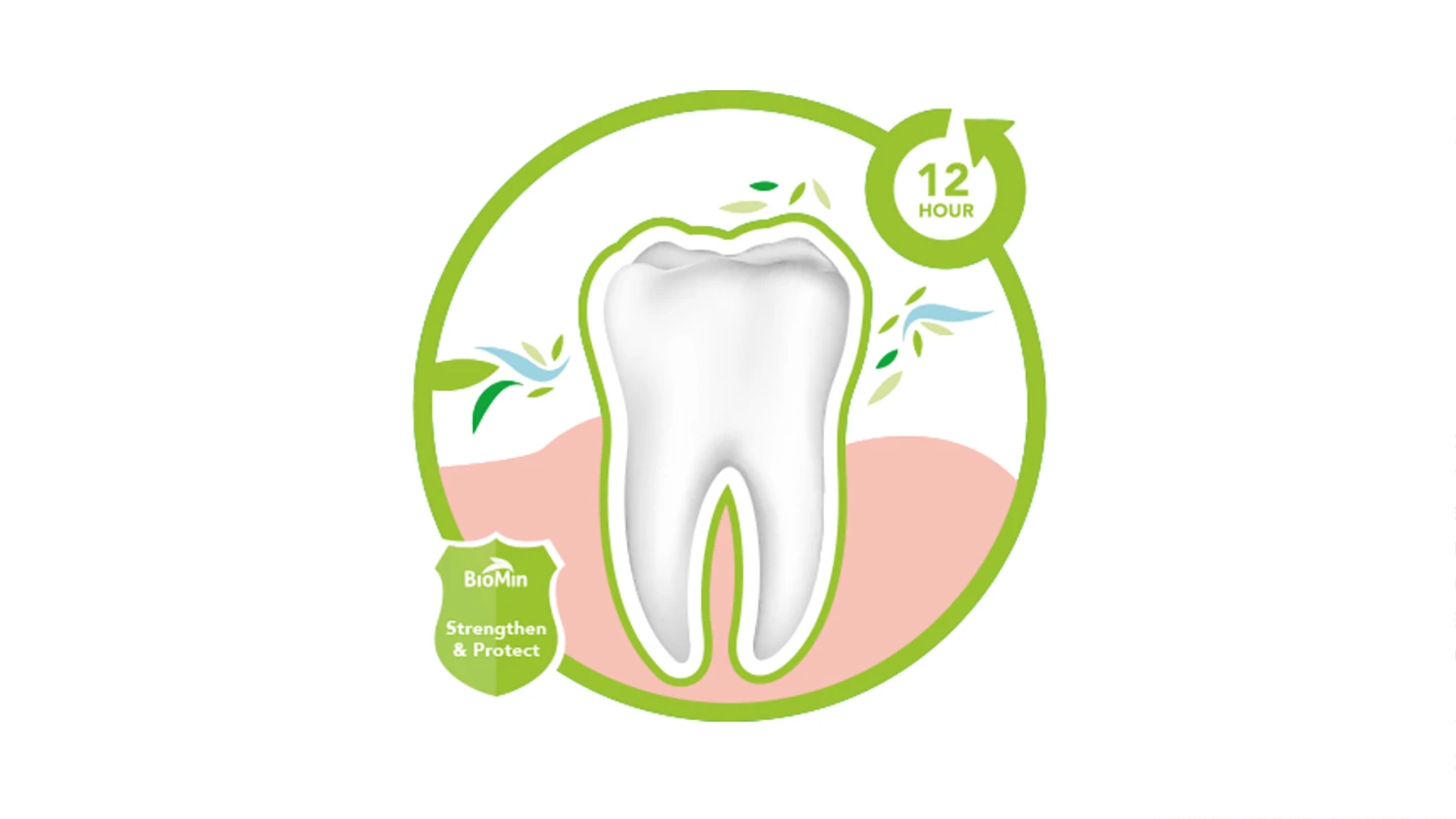 Whereas normal toothpastes wear off after only a couple of hours, BioMin pastes work for 8-12 hours after brushing, with the flouride – which is resistant to the acid found in things like soft drinks – forming a protective layer over the enamel