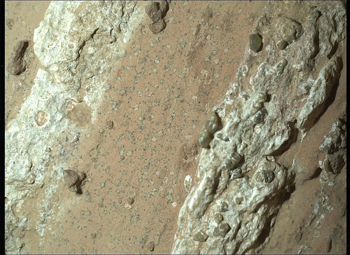 These 'leopard spots' on a sample from the Cheyava Falls rock could indicate reactions that produced energy for microbial growth billions of years ago