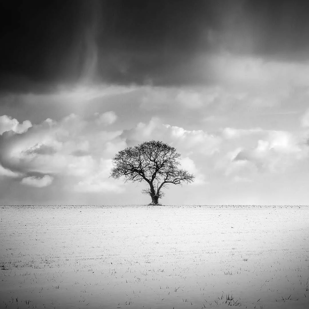 Shortlisted in the Landscape category is this shot from @liamfrankland