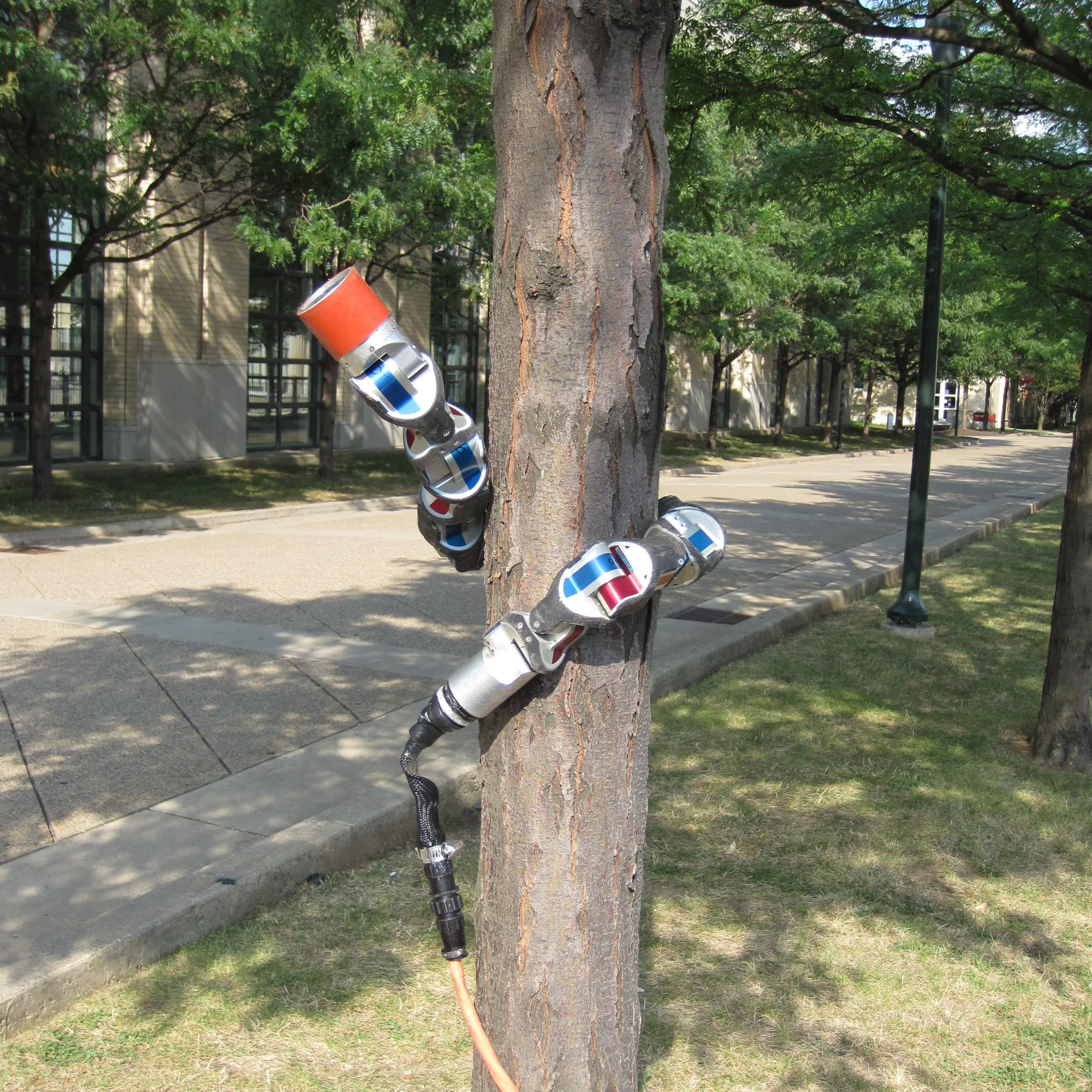 The original snake robot, climbing a tree