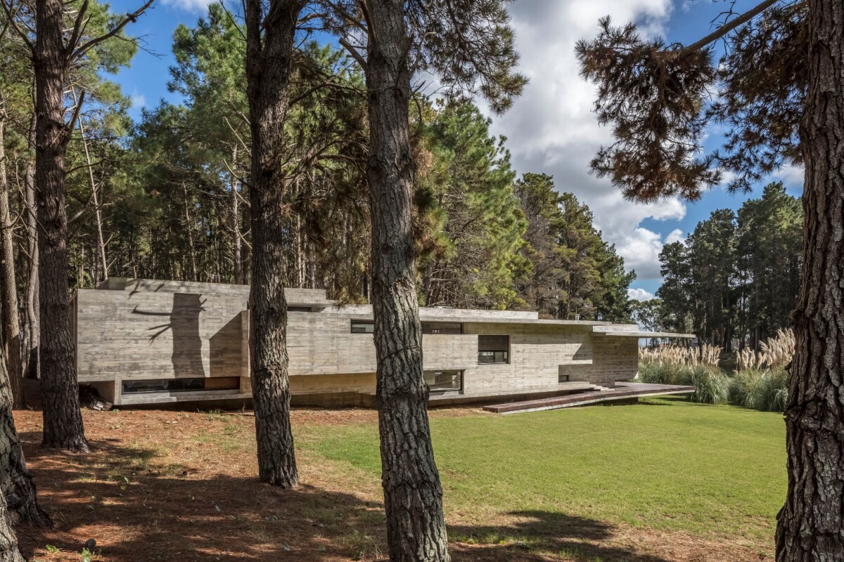 Recently completed by local architecture firm Besonias Almeida, the Forest House is set on Argentina's Costa Esmeralda