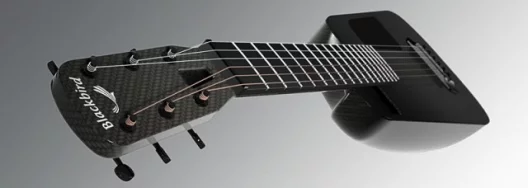 Blackbird's Rider carbon fibre acoustic guitar