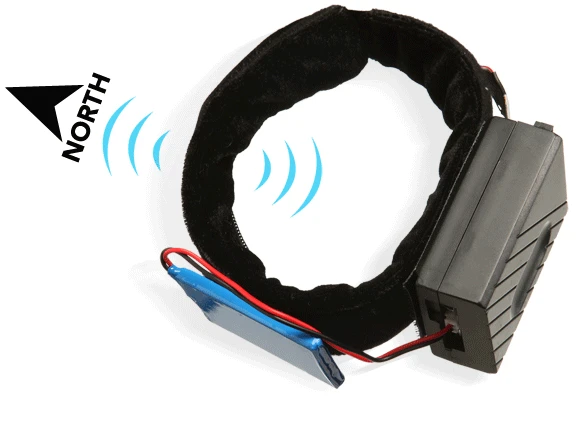 North Paw Directional Anklet Kit vibrates to provide a constant reference to magnetic north