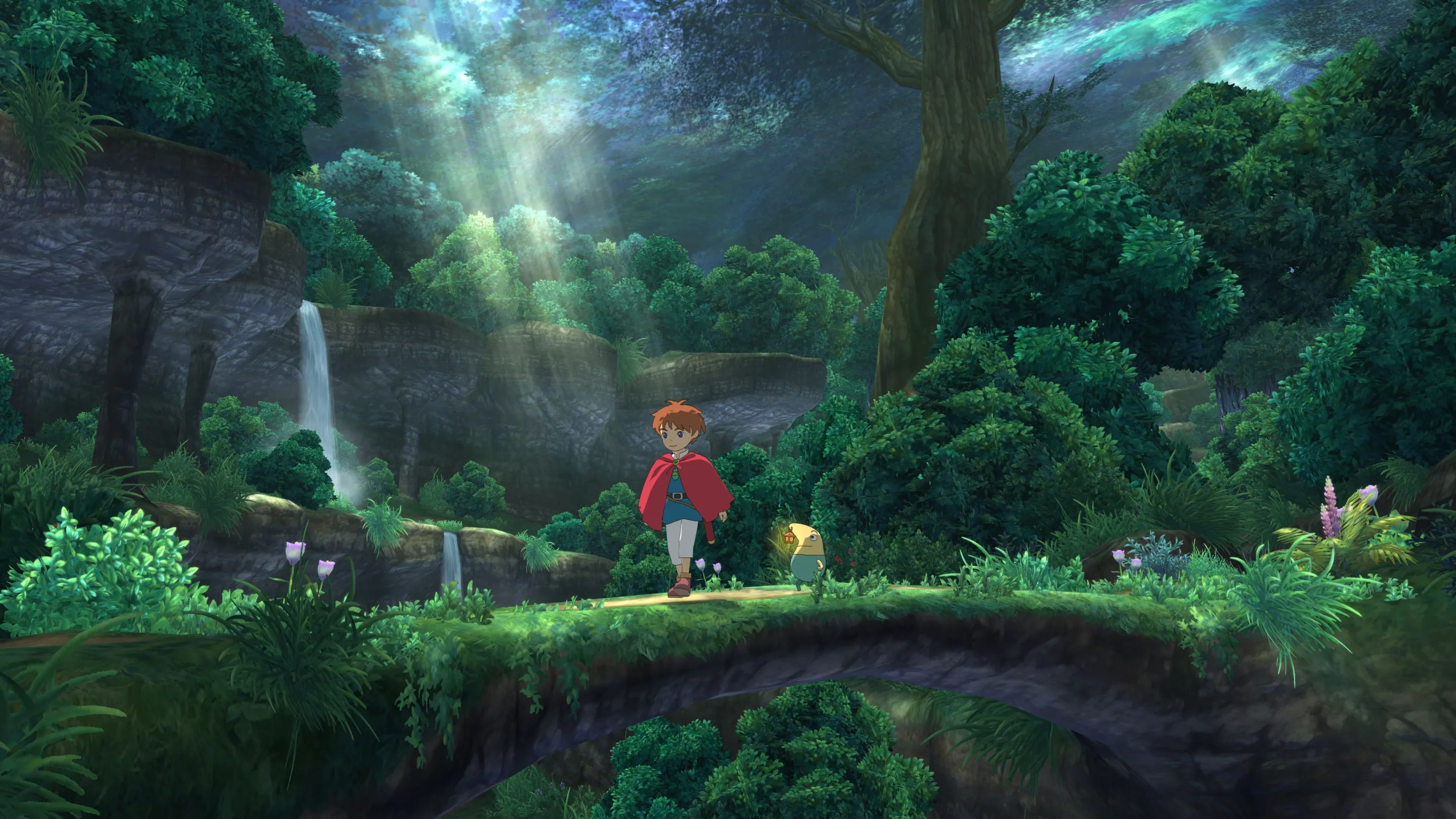 Oliver explores an ancient forest, with Drippy close behind