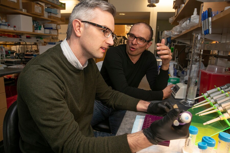 Cameron McAlpine (left) and Filip Swirsk, researchers on the new study
