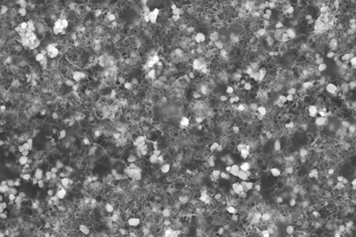 Scanning electron microscopy image of nanocomposite film (Image: Rensselaer/Ravindra C.Pangule and Shyam Sundhar Bale)