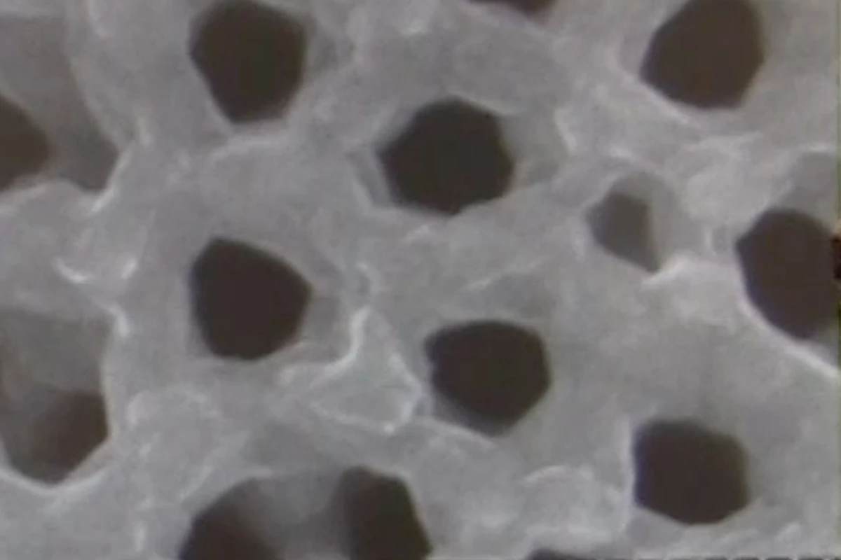 A top view of the nanopores, each of which is a separate battery in its own right
