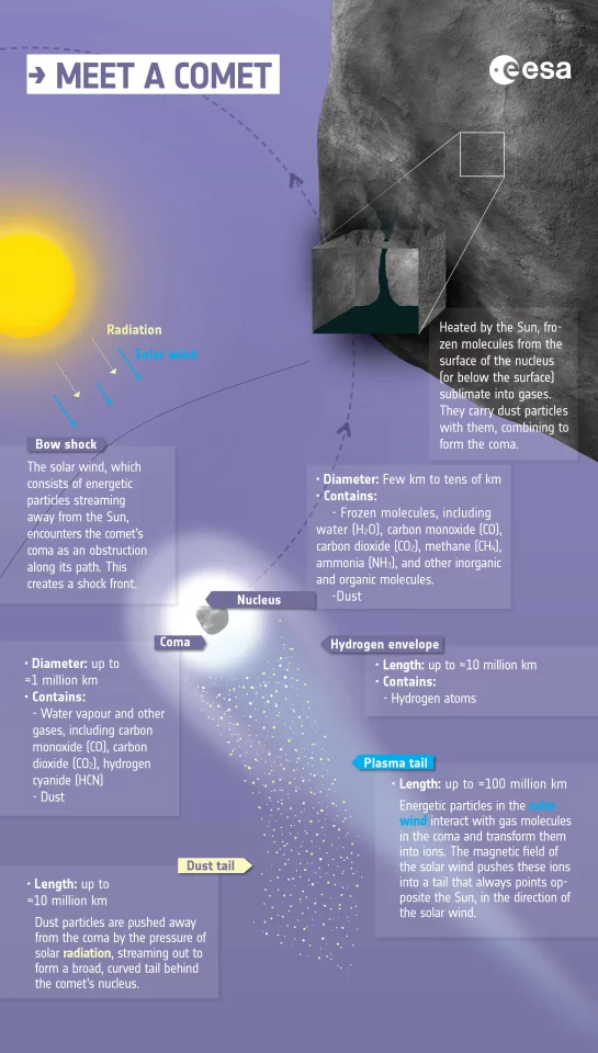 An ESA graphic showing some of the key elements of a comet