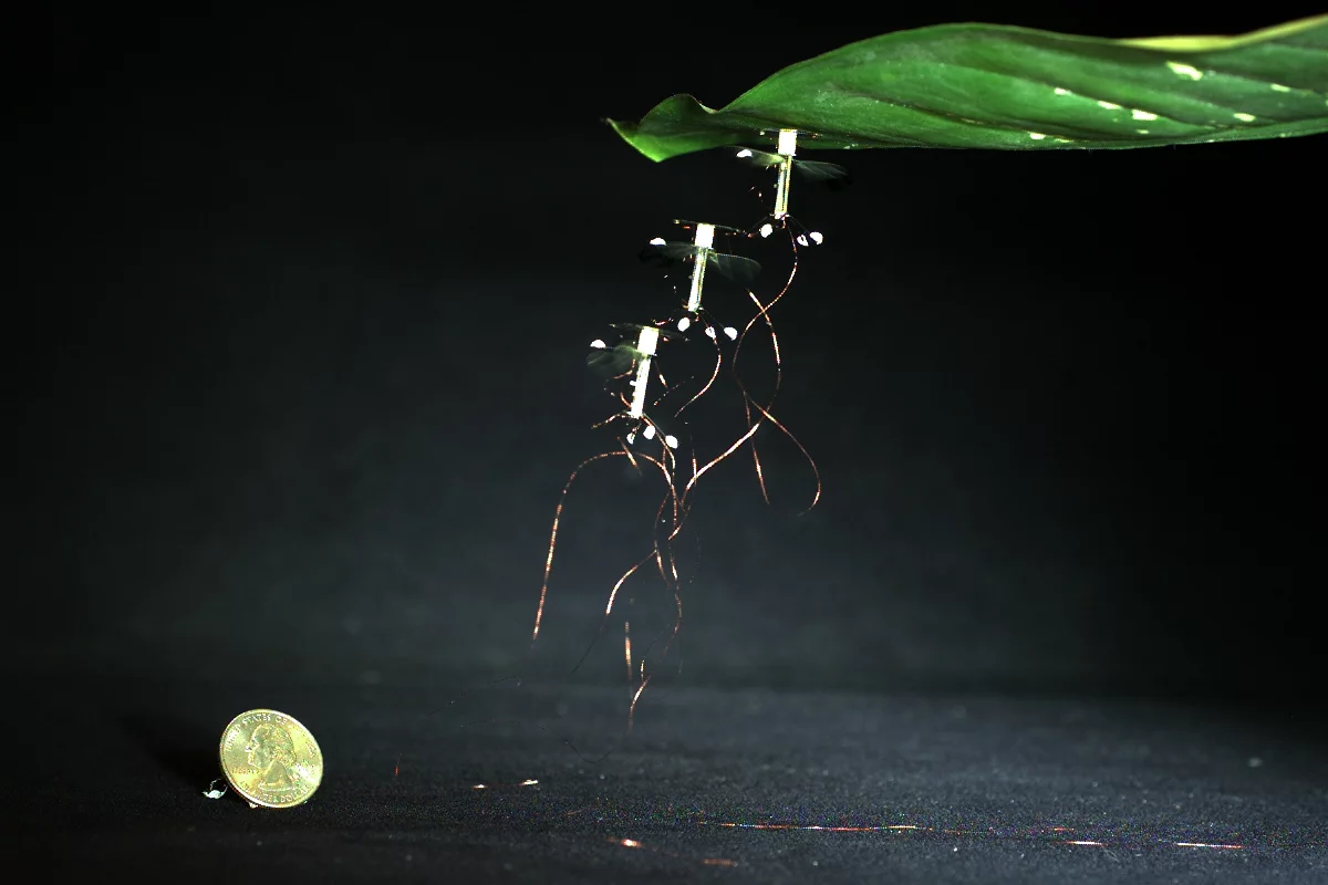 The RoboBee can now stick to almost any surface during flight to save energy