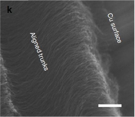 The adhesive in contact with a copper surface, as seen under a scanning electron microscope