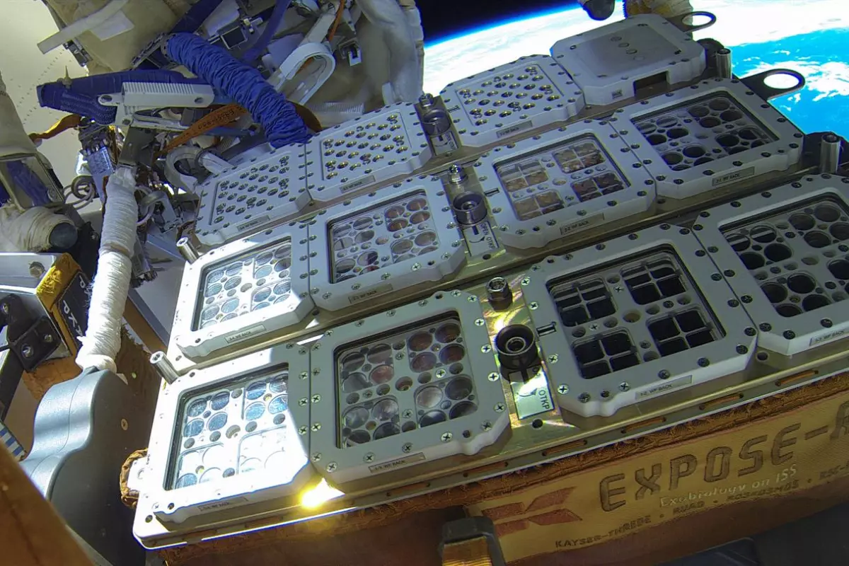 Samples of microbes on the outside of the International Space Station, as part of the BIOMEX project