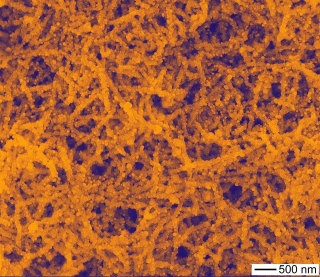 Researchers have boosted the efficiency of organic solar cells by 20 percent through the use of gold nanoparticles (Image: Gold nanoparticles in nanowires - Argonne National Laboratory)