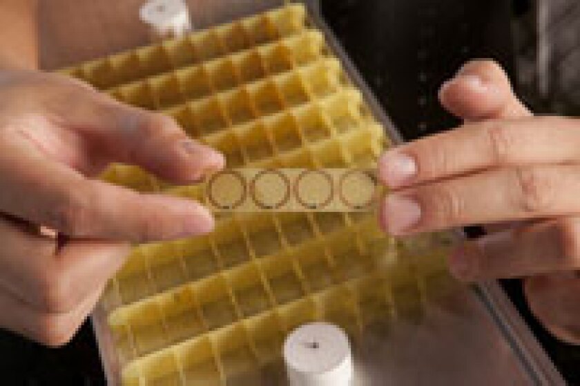 The metamateral developed by Duke engineers (Image: Duke University)