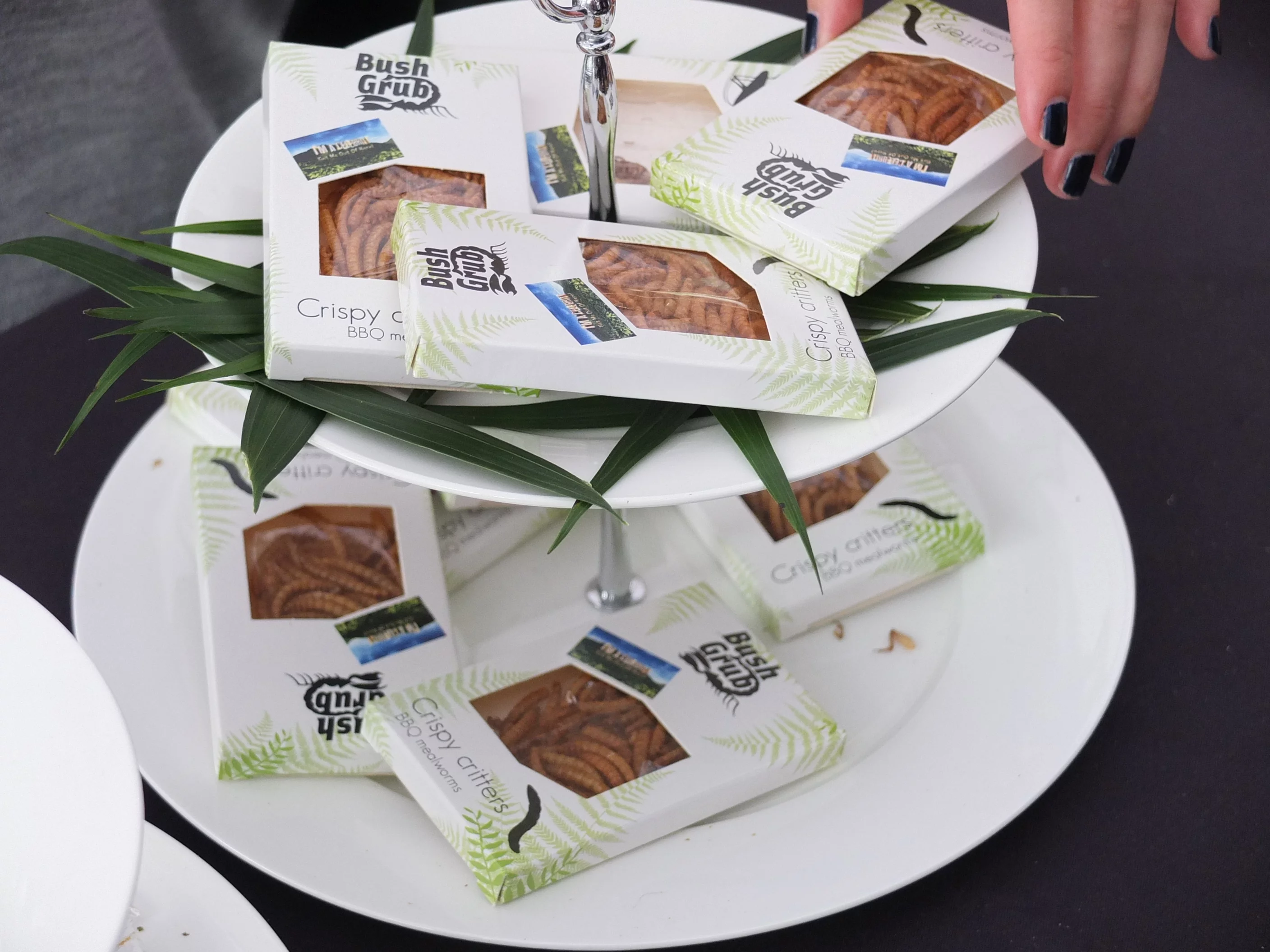 Alas the takeaway mealworms were carefully rationed, such was the demand (Photo: Gizmag)