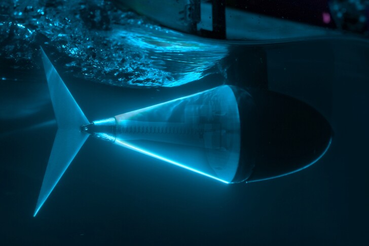An X-ray view of AutoTuna as it swims in its tank