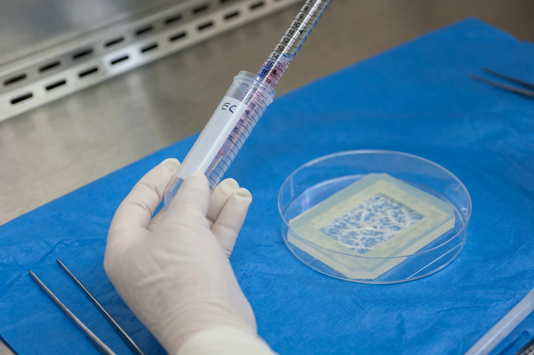 Epithelial cells are added to one side of the material
