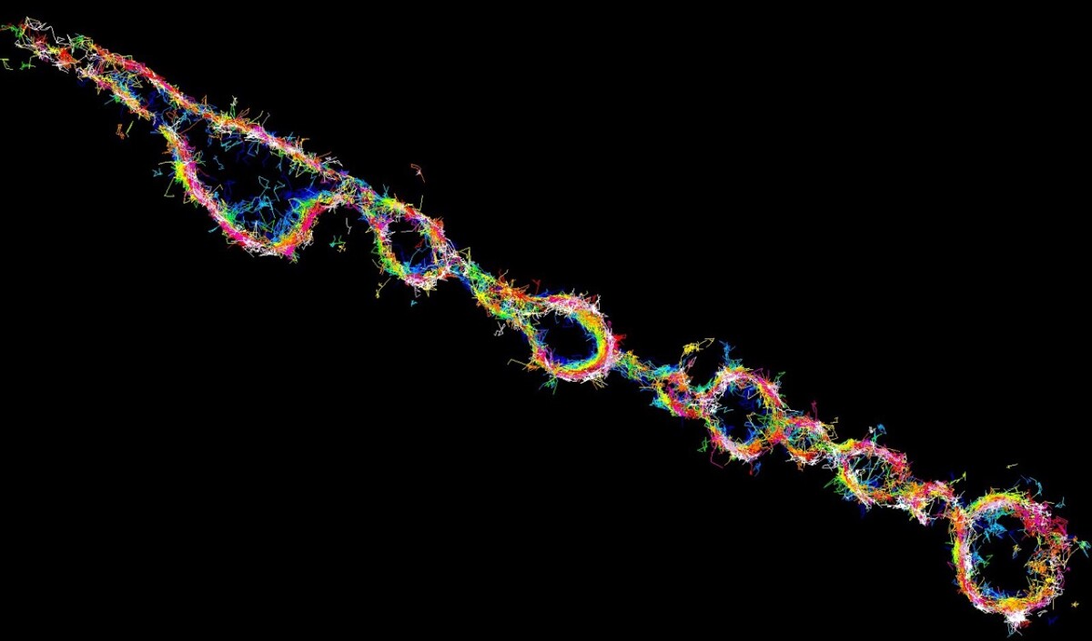 Representation of thousands of tracked syntaxin1A molecules in a neuron exposed to propofol