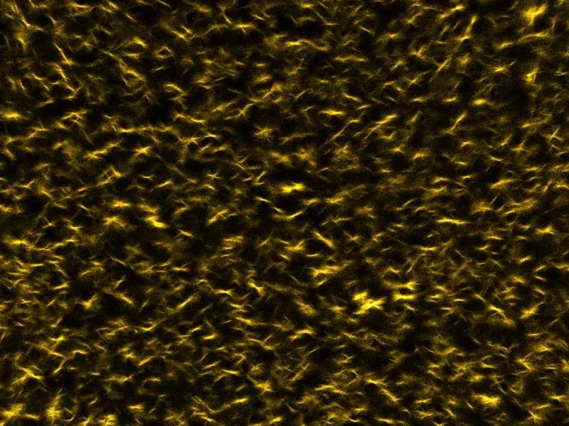 A close-up of a sample of a "temporary" hydrogel