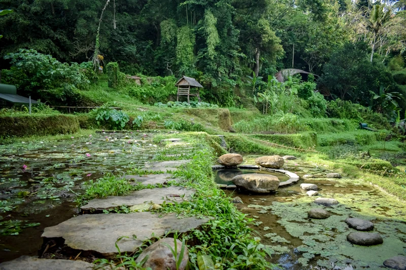 Nestled in up against a bend in the Ayung River, the two-bedroom River Bend guesthouse is totally enclosed and air-conditioned