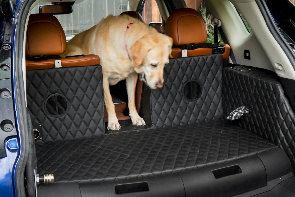 This special pet pass-through in the rear seats of the Rogue Dogue is particularly clever