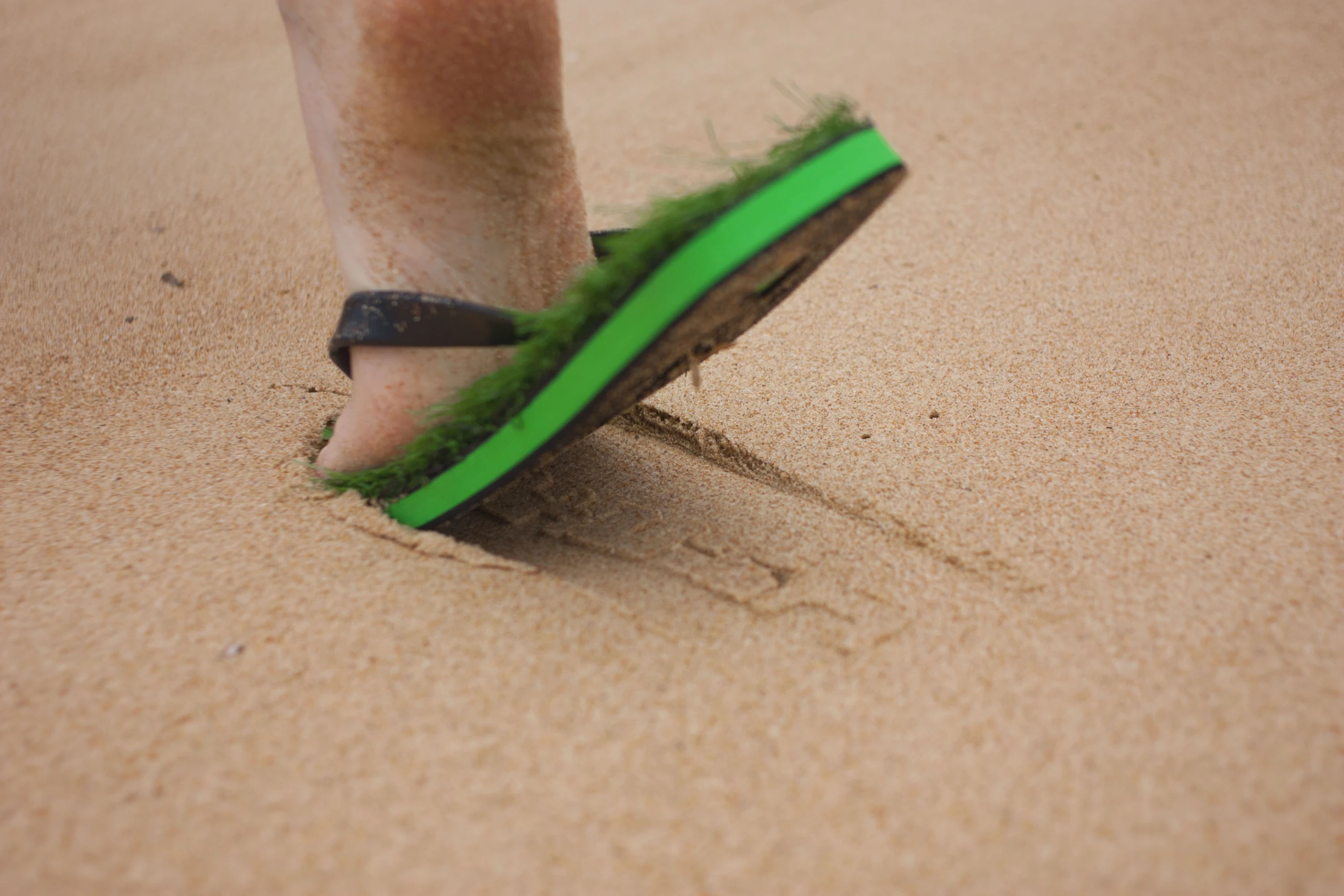 Hot sand or cool field?