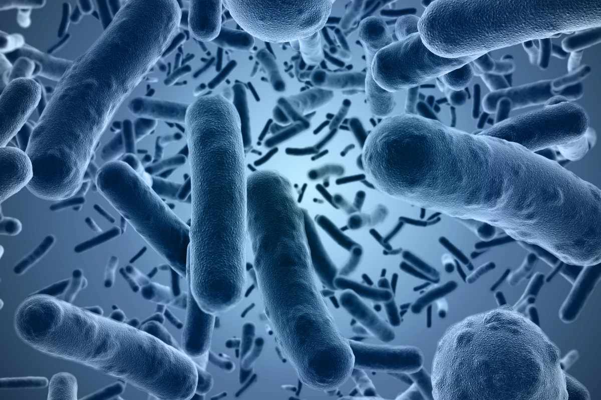 Researchers have found that an antivitamin version of Vitamin B1 could be an effective new way to kill antibiotic-resistant bacteria