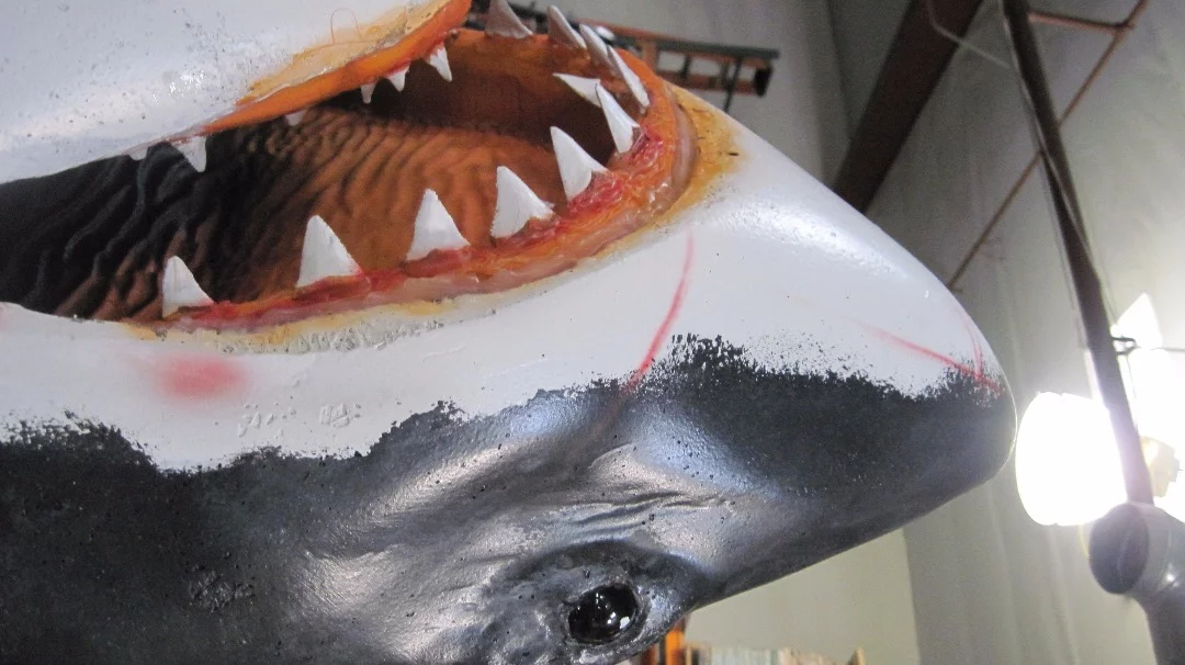 Close-up of shark's head detail