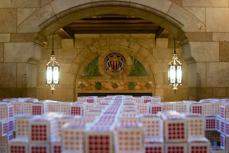 Fractal close-up and the USC seal