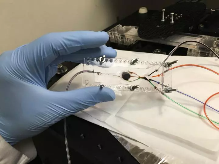The 3D bioprinter has two key components: a custom-built microfluidic chip (pictured) and a digital micromirror