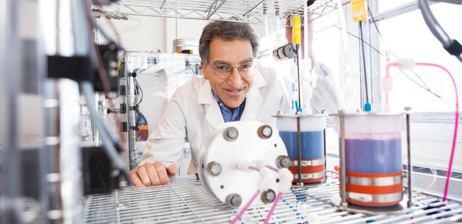 An inexpensive high capacity organic battery has been developed by Professor Michael Aziz at the Harvard School of Engineering and Applied Sciences