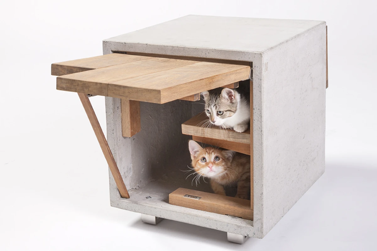 Standard Architecture Design produced one of the more practical looking shelters (Photo: Grey Crawford)