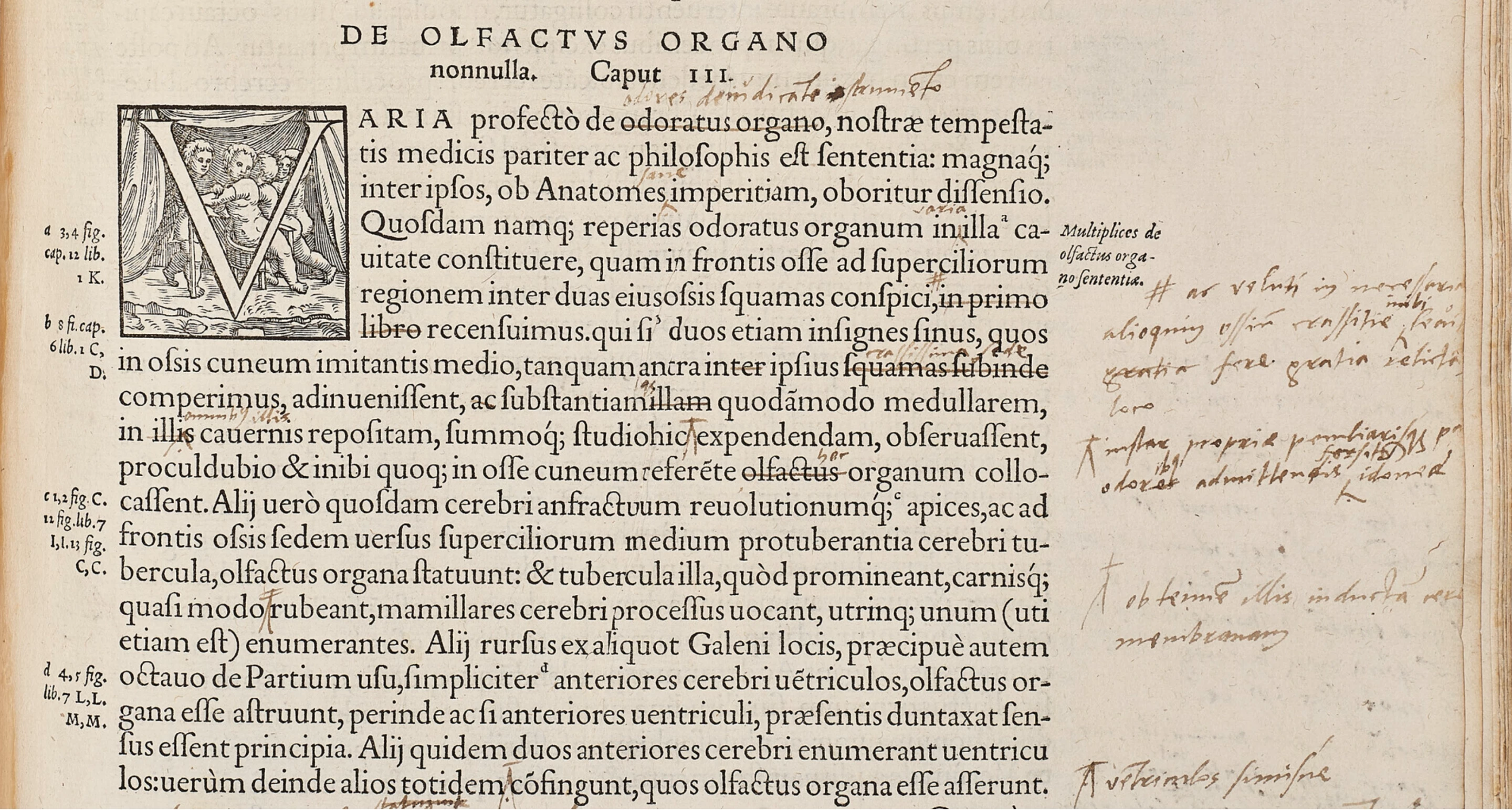 Like watching over the shoulder of one of history's most accomplished scientists and teachers, the annotated "fabrica" comes to life. If this story resonates with you, and you'd like a closer look at the annotations and their English translations, the entirety of Vesalius' work including the annotations from this book are now available in English for $1650 at the Vesalius Project.