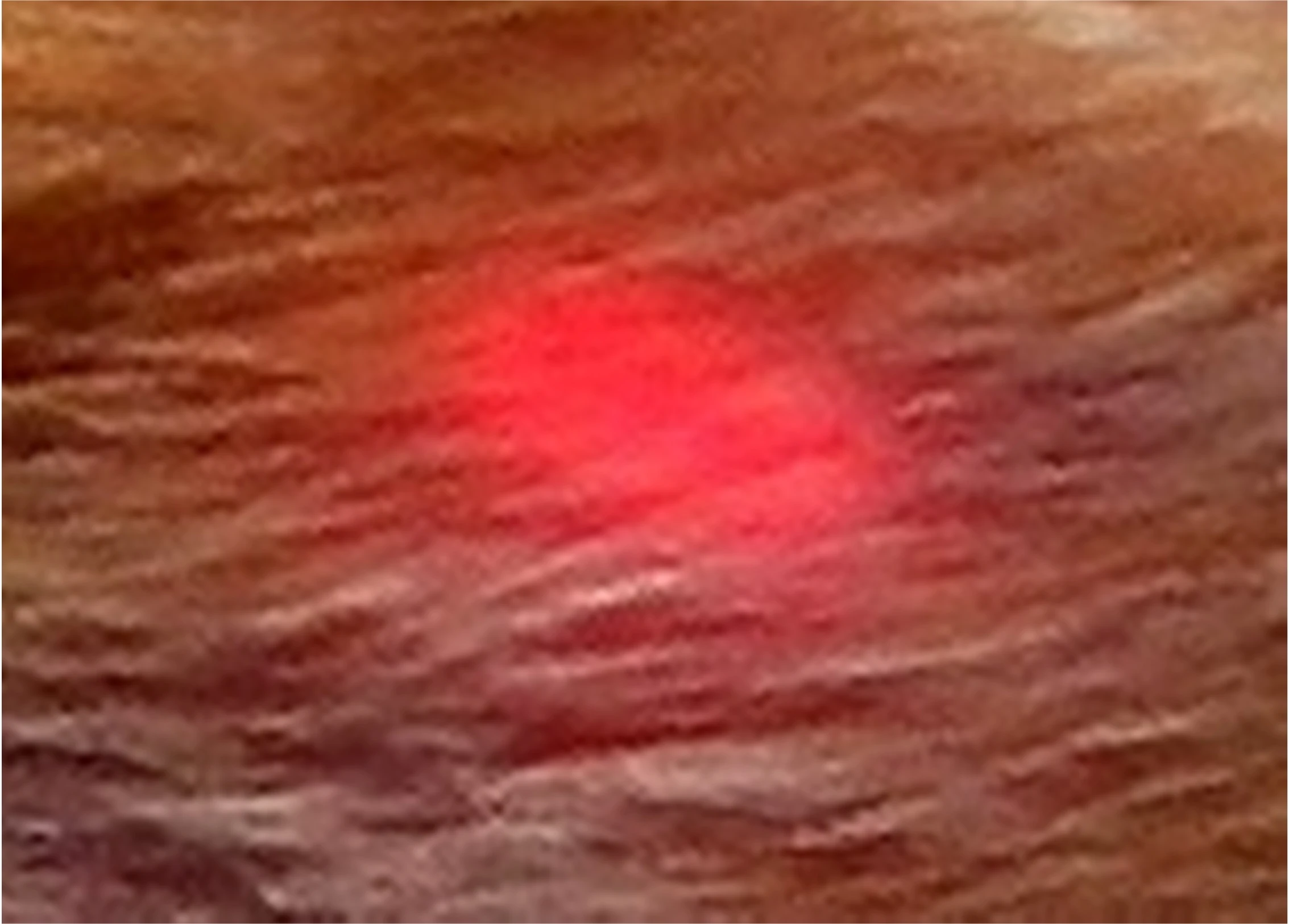 An LED array implanted under the skin of a test animal