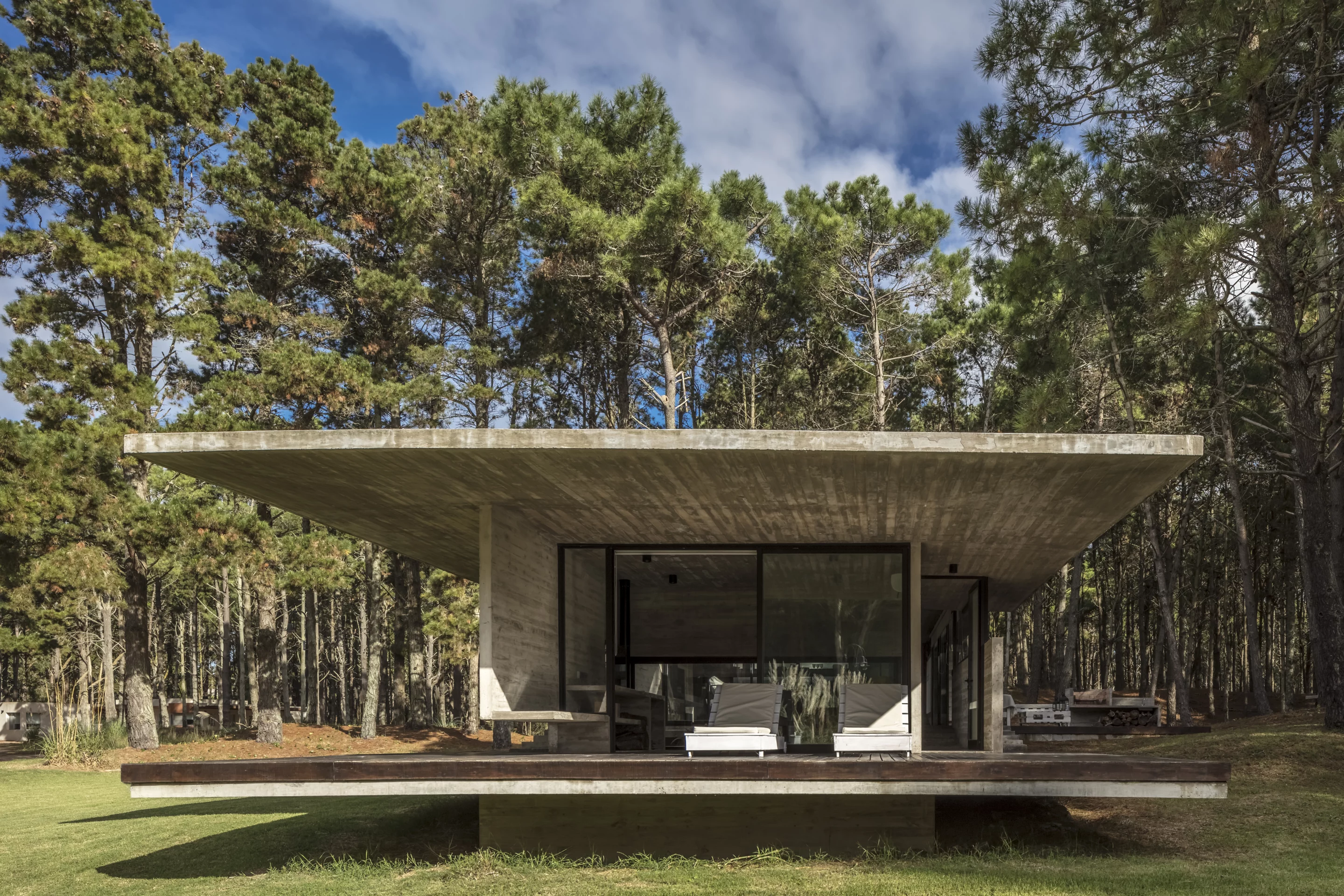 The rooftop of the Forest House was designed as a green terrace to boost thermal insulation