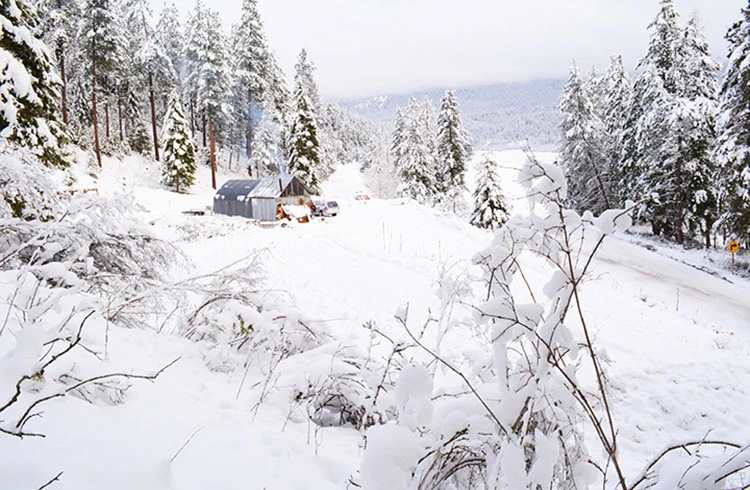 The property is located in the Pacific Northwest