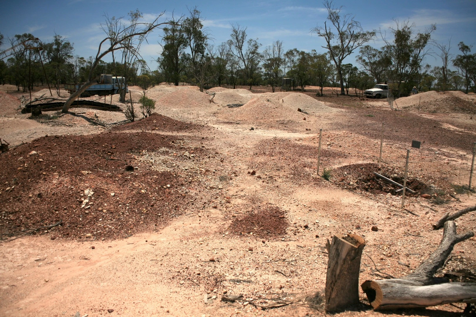 The area around Lightning Ridge opal fields, where the opalized fossils of Fostoria were found