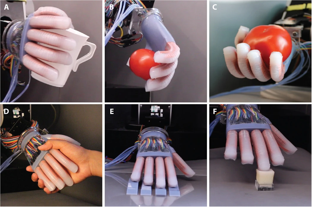 The Cornell University researchers demonstrated many human-like holding, feeling, and touching capabilities with their prototype