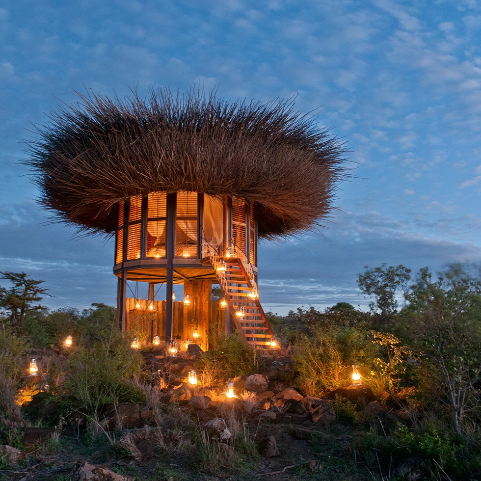 The Nay Palad Bird Nest Hotel nestles its guests amongst the treetops