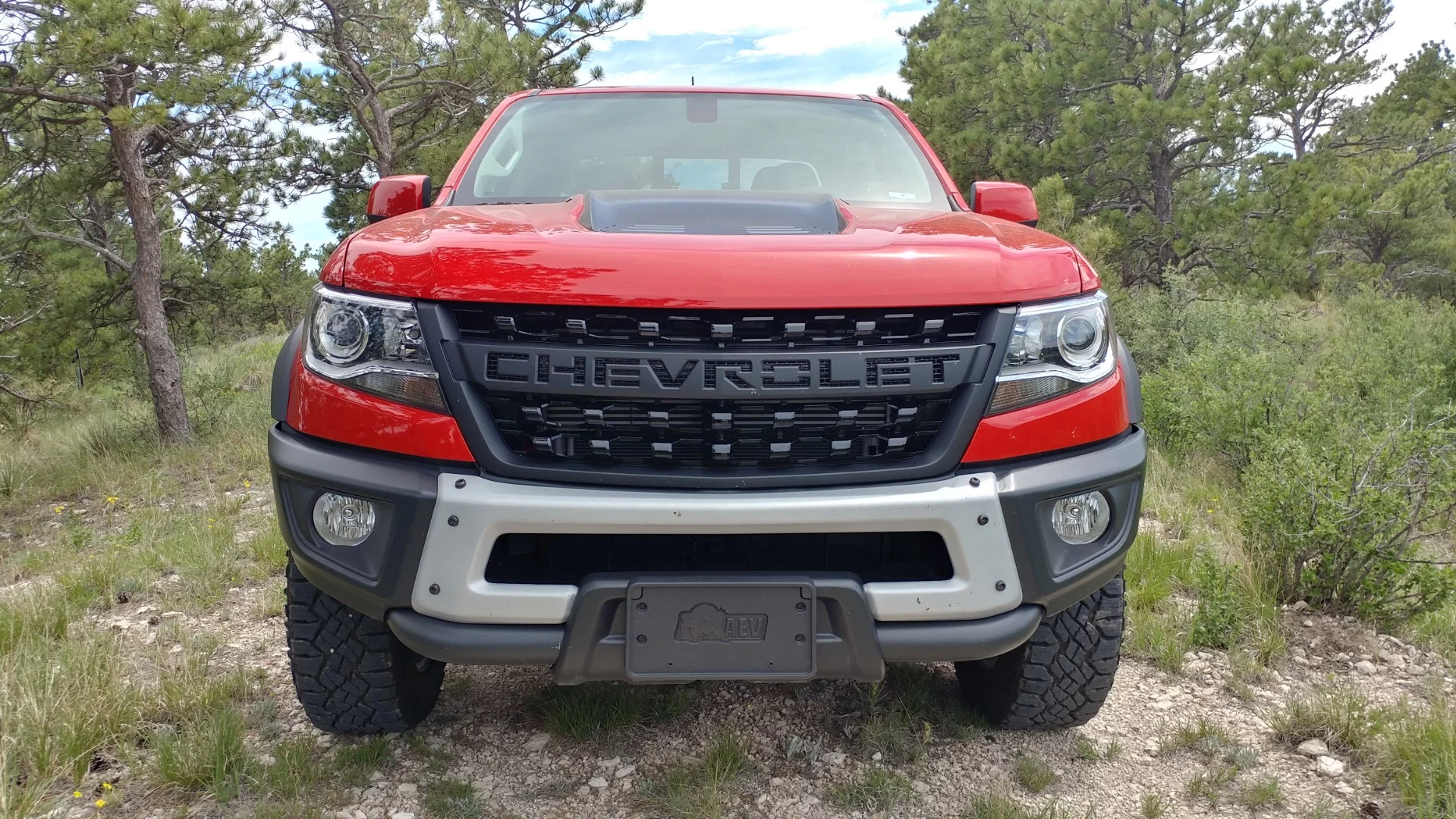 Some might not be fans of the new Chevrolet grilles, but on the Bison with its aggressive bumpers, it's a good fit
