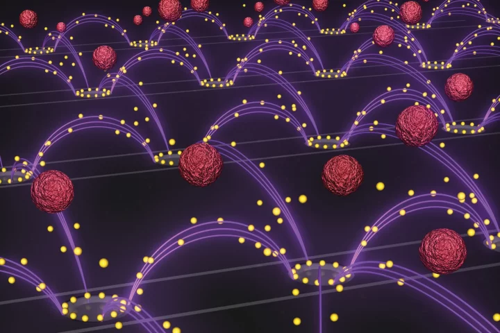 An artist's representation of the chip that uses an oscillating electric field (purple arcs) to separate nanoparticles (yellow) from blood (red)